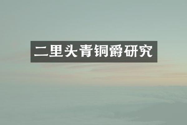 二里头青铜爵研究