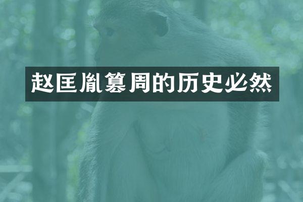 赵匡胤篡周的历史必然