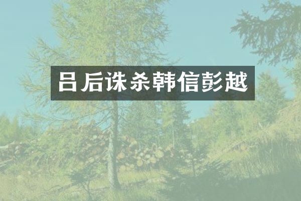 吕后诛杀韩信彭越