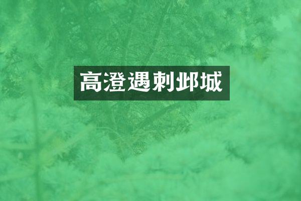 高澄遇刺邺城