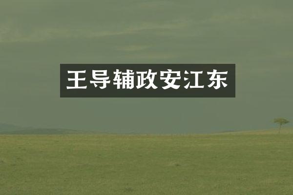 王导辅政安江东