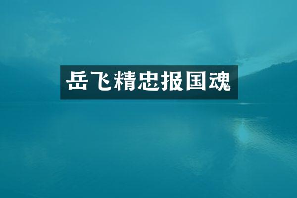 岳飞精忠报国魂