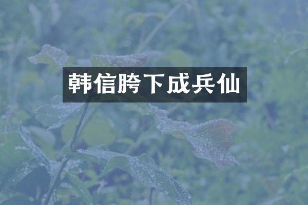 韩信胯下成兵仙
