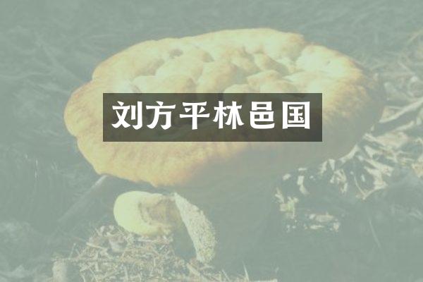 刘方平林邑国