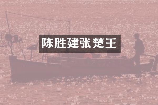 陈胜建张楚王