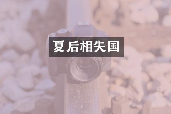 夏后相失国