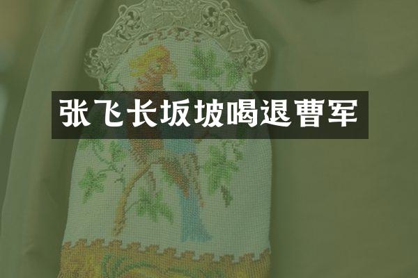 张飞长坂坡喝退曹军