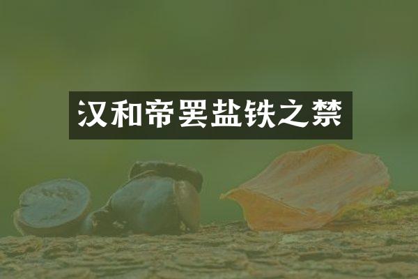 汉和帝罢盐铁之禁