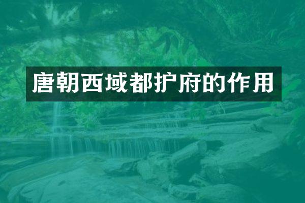 唐朝西域都护府的作用