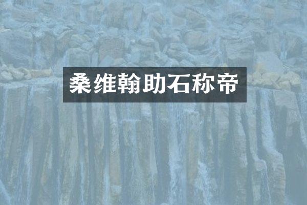 桑维翰助石称帝