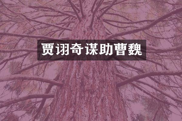 贾诩奇谋助曹魏