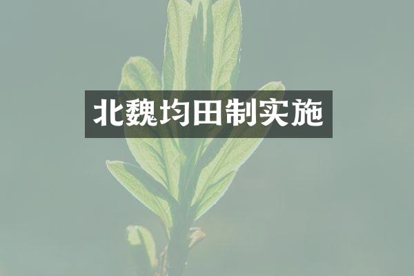 北魏均田制实施