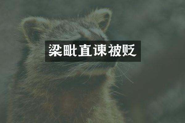 梁毗直谏被贬