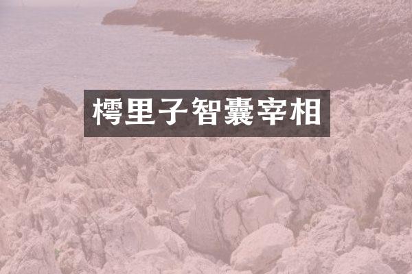 樗里子智囊宰相