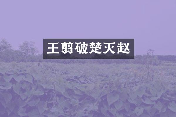 王翦破楚灭赵