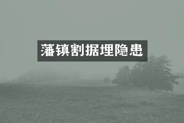 藩镇割据埋隐患