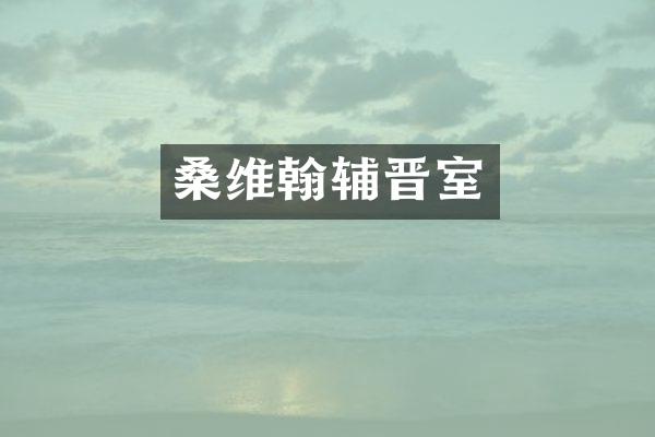 桑维翰辅晋室
