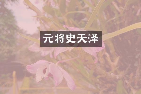 元将史天泽