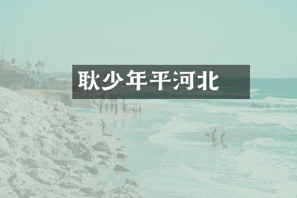 耿弇少年平河北
