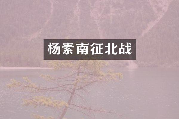 杨素南征北战