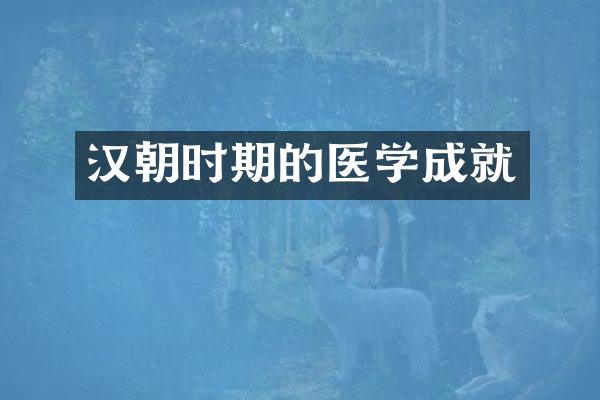 汉朝时期的医学成就