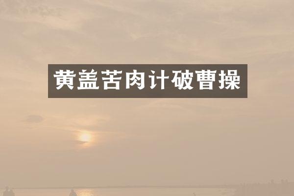 黄盖苦肉计破曹操