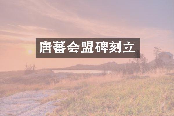 唐蕃会盟碑刻立