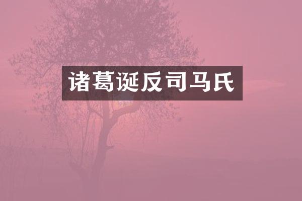 诸葛诞反司马氏