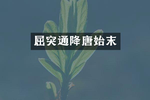 屈突通降唐始末