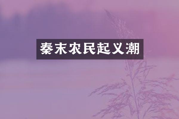秦末农民起义潮