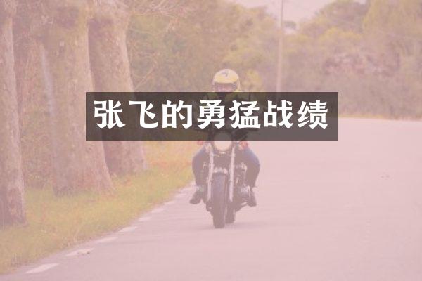 张飞的勇猛战绩