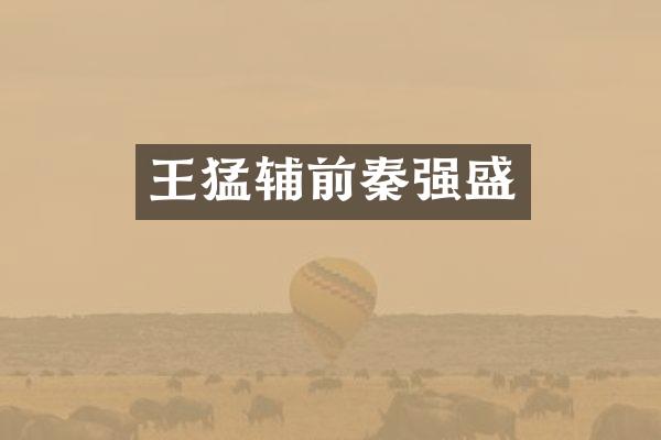 王猛辅前秦强盛