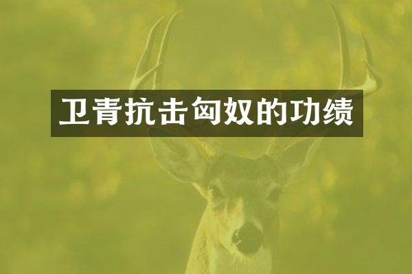 卫青抗击匈奴的功绩