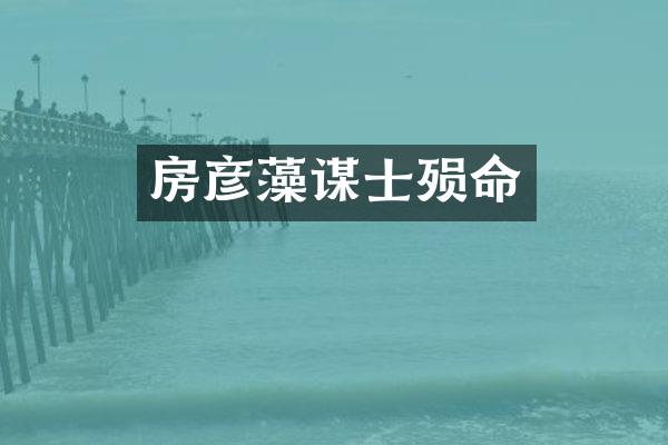 房彦藻谋士殒命