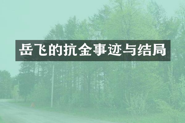 岳飞的抗金事迹与结局