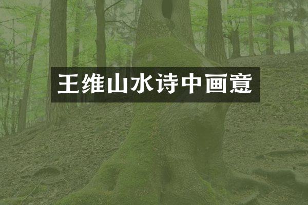 王维山水诗中画意
