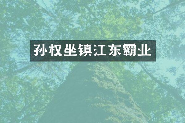 孙权坐镇江东霸业