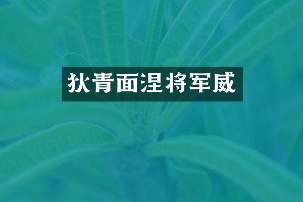 狄青面涅将军威