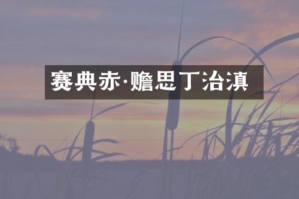 赛典赤·赡思丁治滇