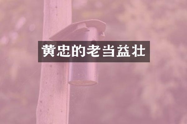 黄忠的老当益壮