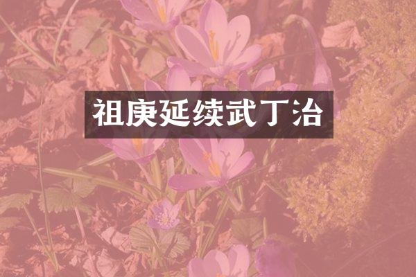 祖庚延续武丁治