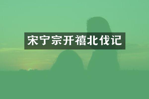 宋宁宗开禧北伐记
