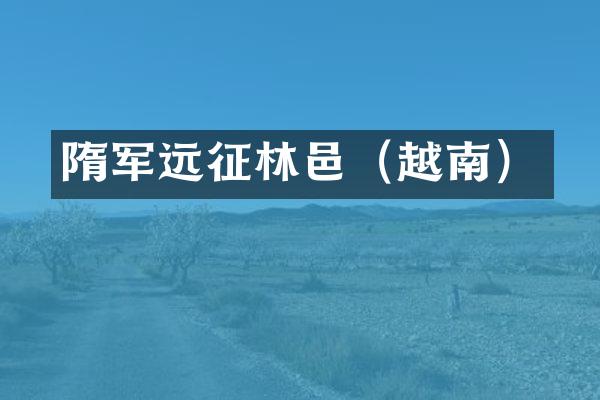 隋军远征林邑（越南）