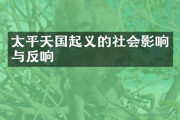 太平天国起义的社会影响与反响