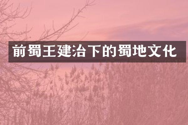 前蜀王建治下的蜀地文化