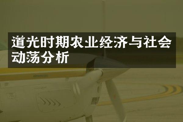 道光时期农业经济与社会动荡分析