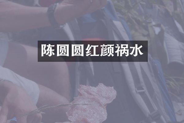 陈圆圆红颜祸水