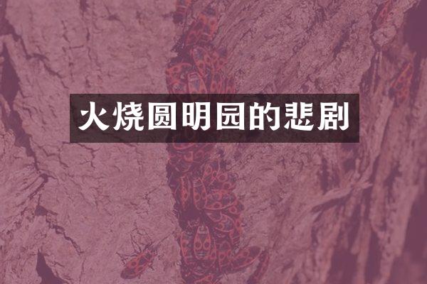 火烧圆明园的悲剧