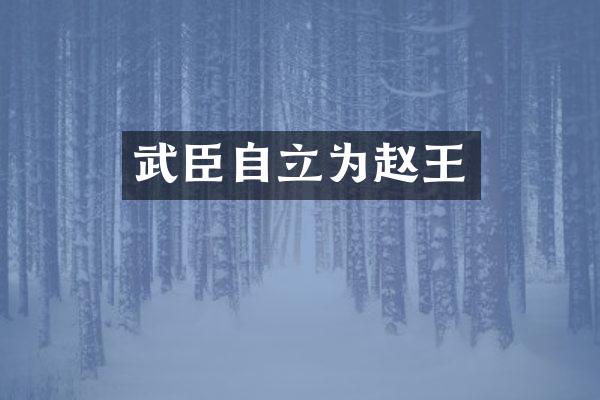 武臣自立为赵王