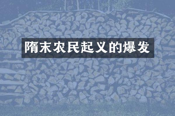隋末农民起义的爆发